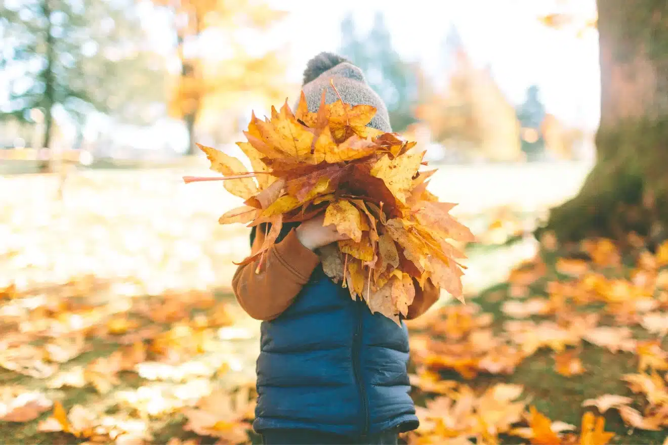 A child in a blue vest and gray beanie holds a large bundle of yellow and orange autumn leaves in a park.