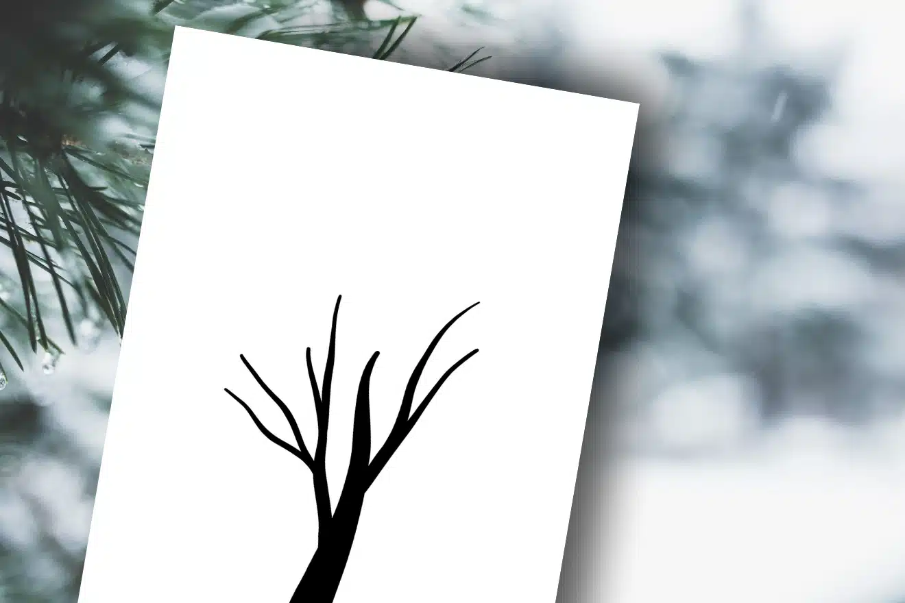 A minimalistic drawing of a barren tree on a white card, tilted against a blurred snowy background with pine needles.