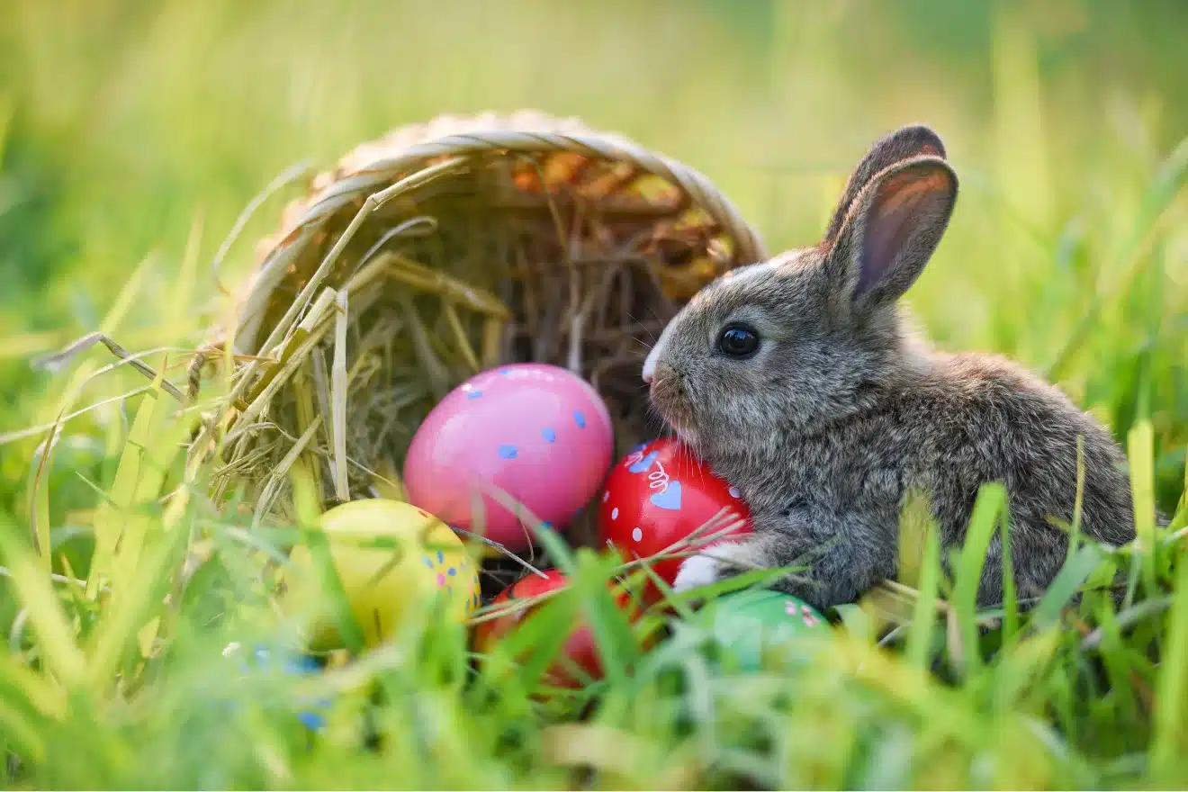 A bunny sits among colorful Easter eggs near an overturned basket on the grass.