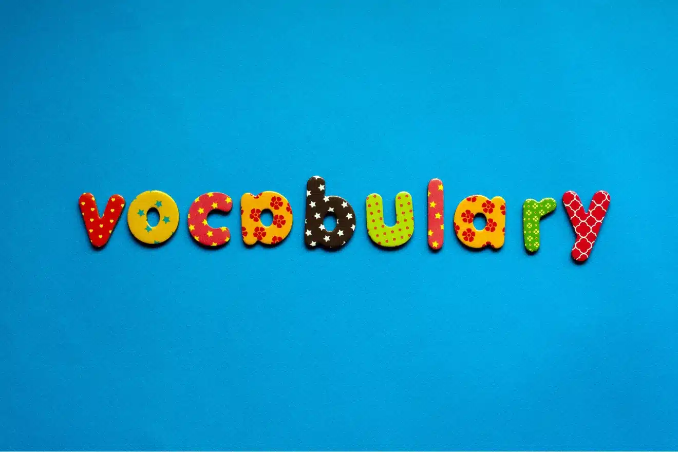 The word "vocabulary" is spelled out in colorful, patterned letters on a solid blue background.