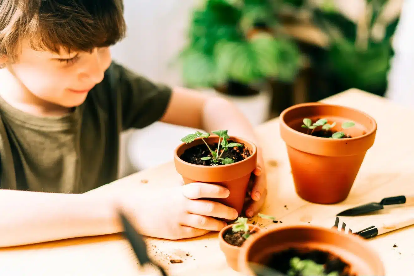 Child planting young seedlings in terracotta pots during a hands-on gardening activity.